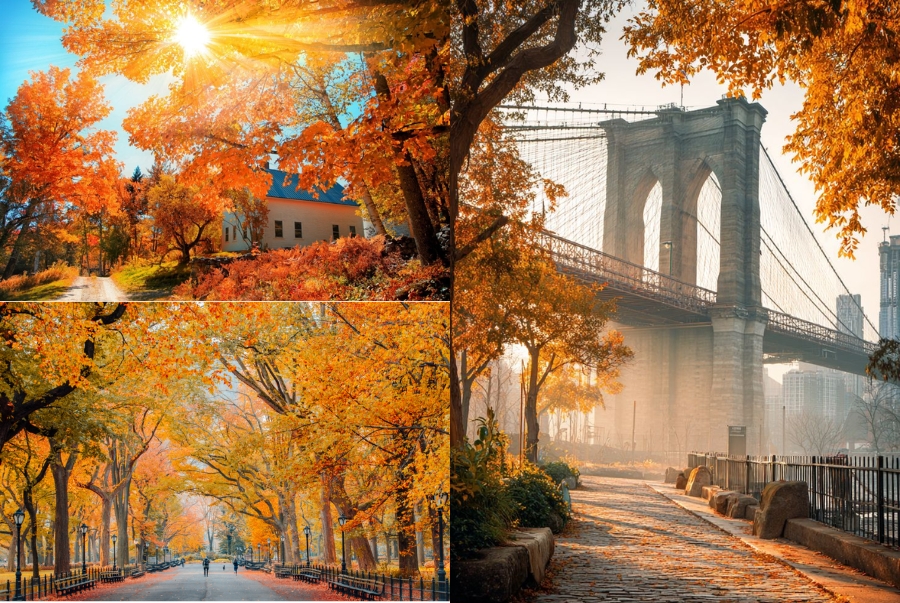 Tiết trời mùa thu New York se lạnh rất dễ chịu