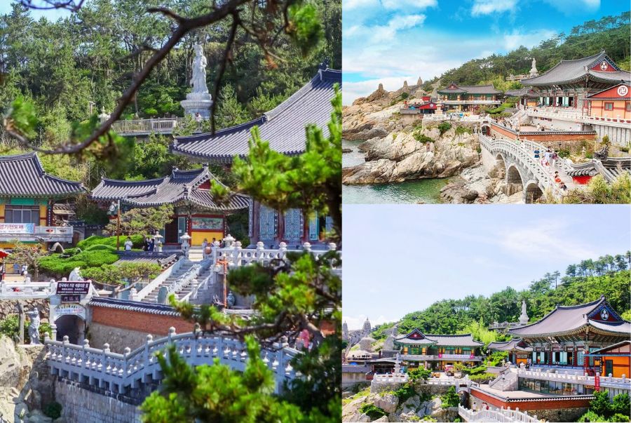 Haedong Yonggungsa tọa lạc ngay trên vách đá với hướng nhìn thẳng ra biển vô cùng đẹp mắt