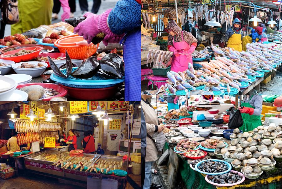 Jagalchi là khu chợ hải sản lớn nhất và là biểu tượng văn hóa đặc sắc của Hàn Quốc