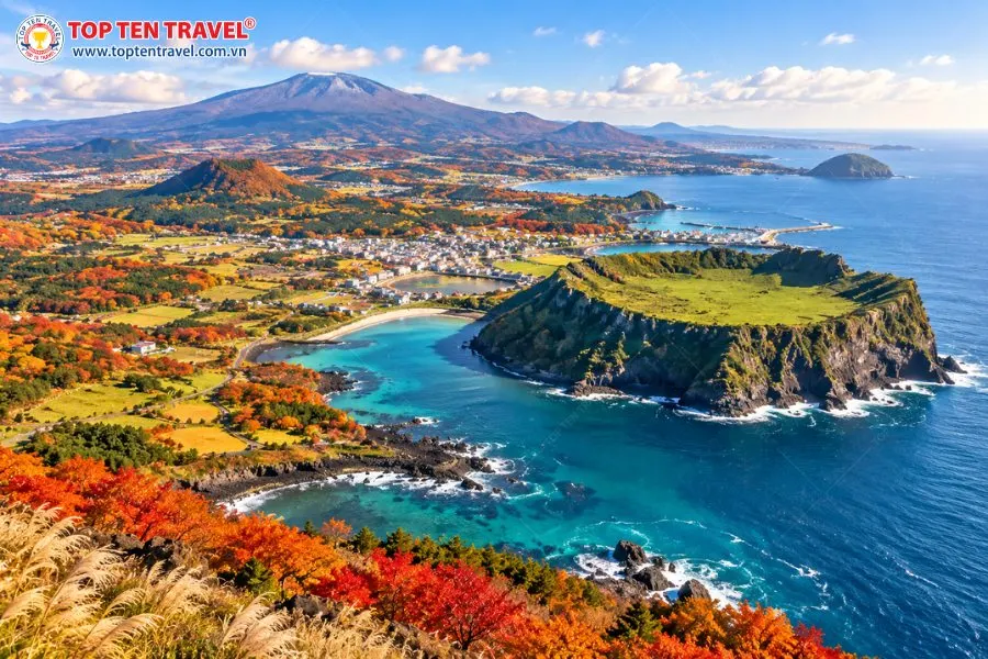 Mỗi độ thu sang, Jeju khoác lên mình tấm áo mới như một bản giao hưởng màu sắc đầy mê hoặc