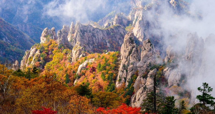 Công viên Quốc gia Seoraksan (Seoraksan National Park) – Núi lá đỏ huyền thoại ở phía Đông