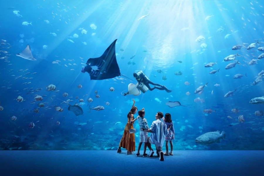 S.E.A Aquarium Singapore là một trong những thủy cung lớn nhất và hiện đại nhất thế giới