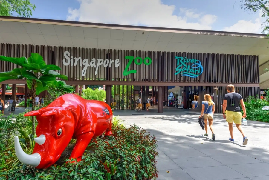 Sở thú Singapore được xây dựng giữa không gian rừng mưa nhiệt đới tự nhiên