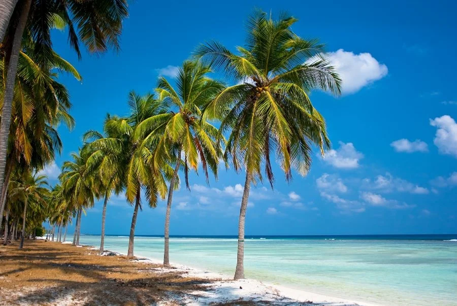 Bãi biển hoang sơ tuyệt đẹp tại quần đảo Lakshadweep