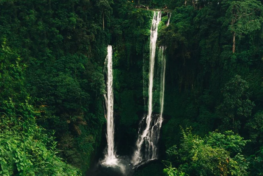 Sekumpul Waterfall sở hữu độ cao hùng vĩ lên đến hơn 80 mét