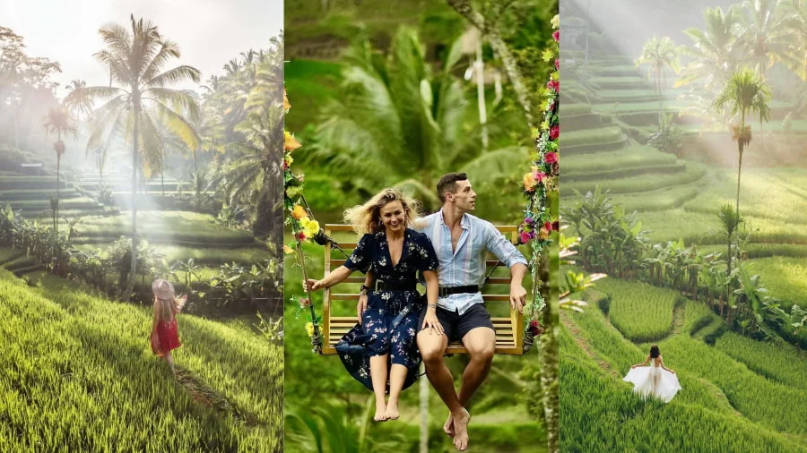 Cánh đồng lúa Tegalalang - Vẻ đẹp của ruộng bậc thang kỳ vĩ