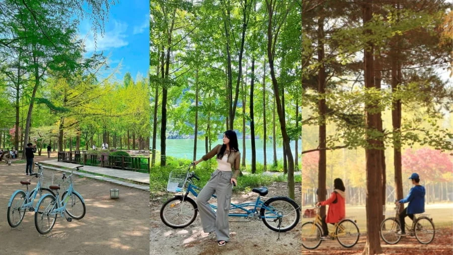 Đảo Nami - Vẻ đẹp lãng mạn của xứ sở kim chi