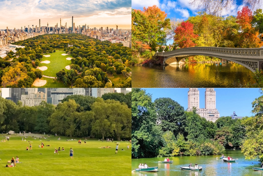 Central Park là nơi lý tưởng để thư giãn và tận hưởng không khí trong lành tại New York