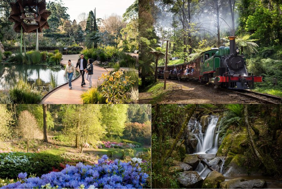 Dandenong Ranges là khu vực núi rừng xanh mát nằm ở phía đông Melbourne