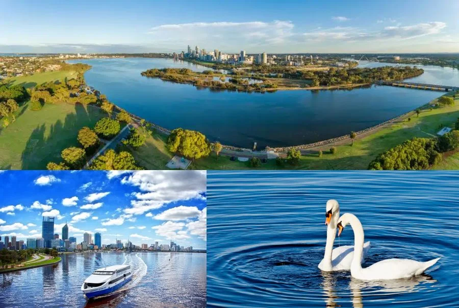 Sông Swan là một trong những biểu tượng nổi bật của thành phố Perth, thủ phủ của tiểu bang Tây Úc