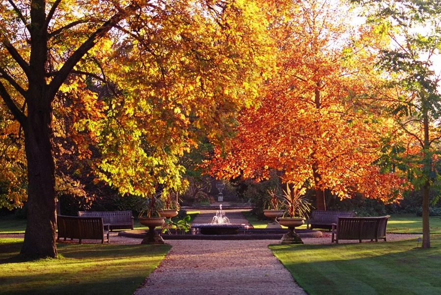 Oxford Botanic Garden khoác lên mình chiếc áo lá vàng đỏ đan xe