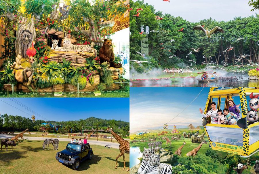 Công viên Chimelong Safari có quy mô lớn và là ngôi nhà chung của hàng trăm loài động vật quý hiếm