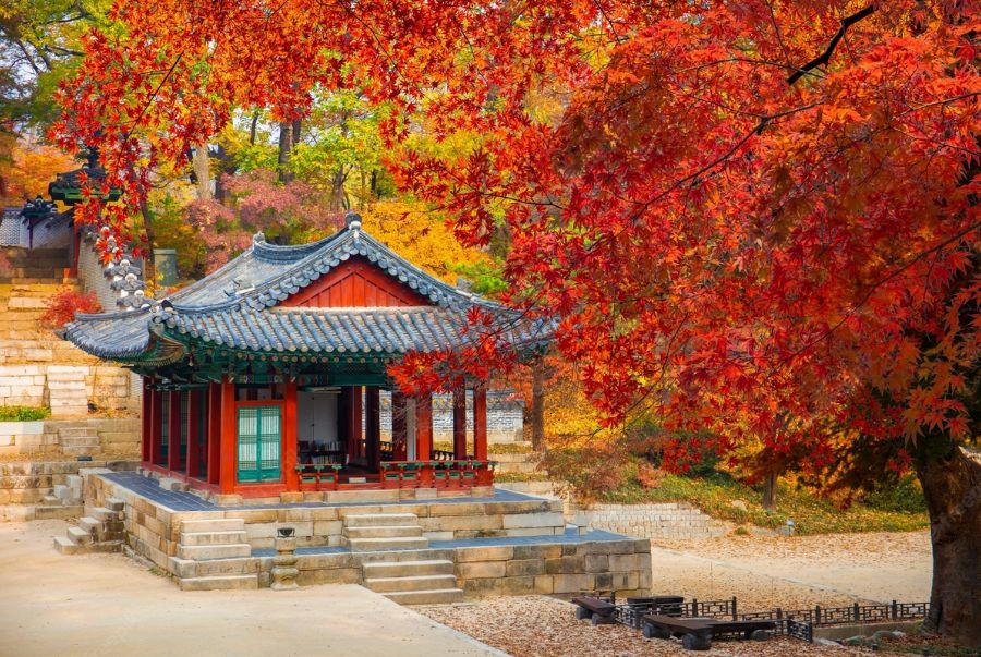 Khu vườn hoàng gia Huwon khoác áo mới với sắc đỏ vàng rực rỡ mùa thu