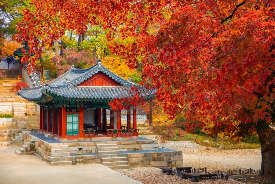 Khu vườn hoàng gia Huwon khoác áo mới với sắc đỏ vàng rực rỡ mùa thu