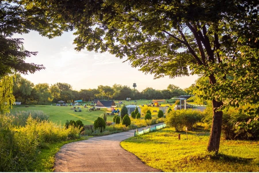 Ngắm hoàng hôn rực rỡ và những thảm cỏ bát ngát tại World Cup Park Seoul