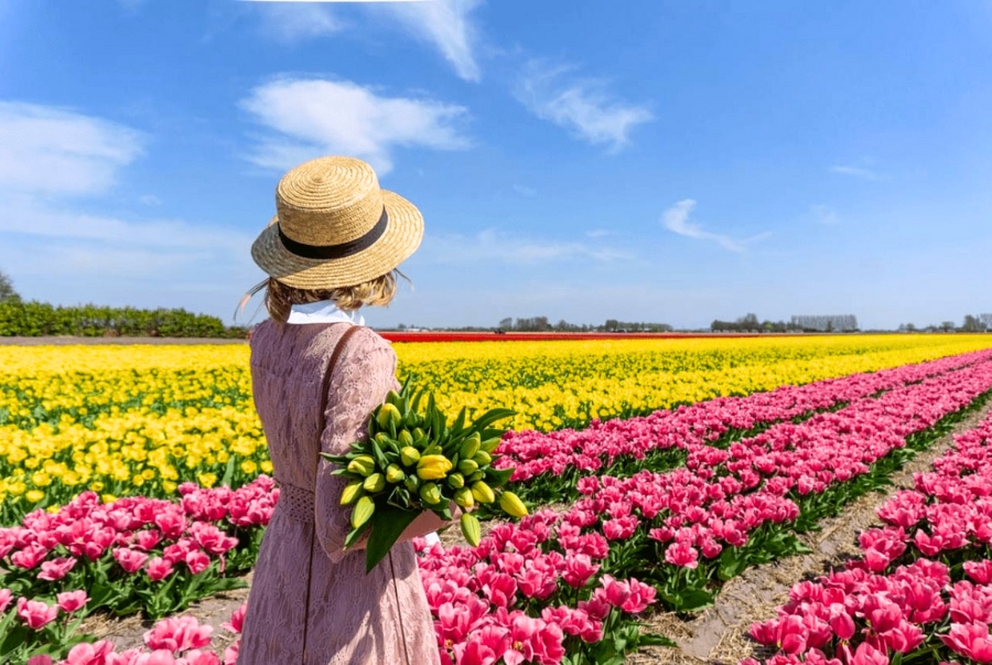 Mùa xuân nhiệt độ trung bình từ 8 đến 15 độ C