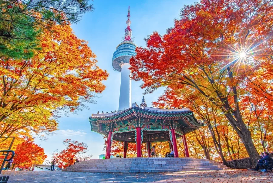 Tháp Namsan rực rỡ giữa khung trời thu Seoul với hàng cây phong đỏ vàng tuyệt đẹp