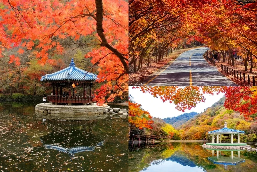 Vẻ đẹp nên thơ của Naejangsan mỗi khi thu về