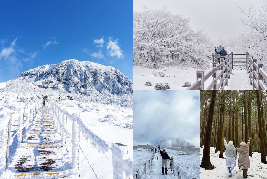 Đảo Jeju là điểm đến lý tưởng để du khách có thể chiêm ngưỡng được những cảnh đẹp thiên nhiên thanh bình