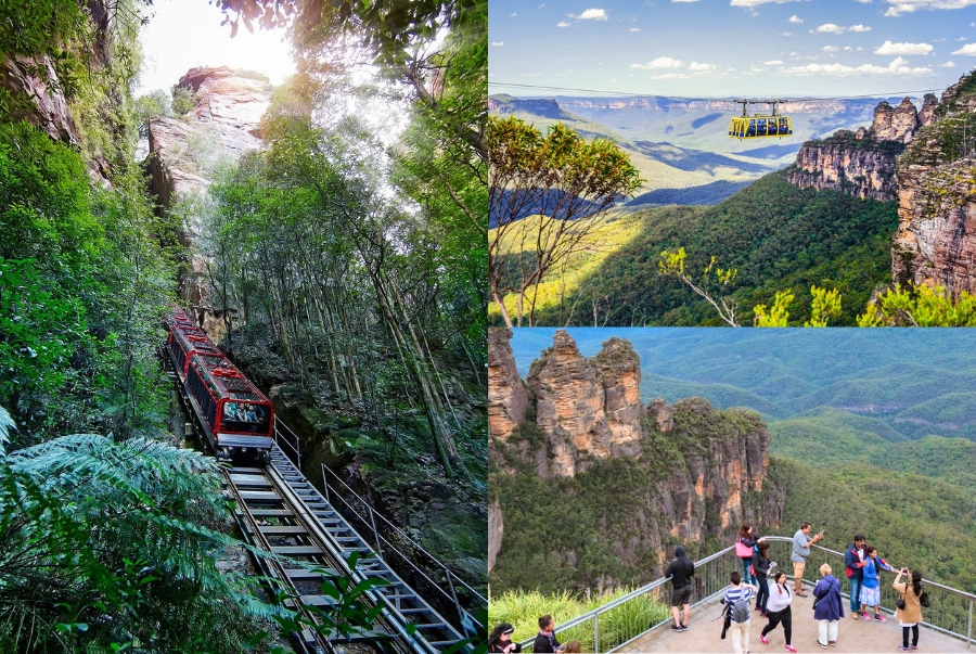 Đến Blue Mountain du khách sẽ được tận mắt chiêm ngưỡng khung cảnh thiên nhiên hùng vĩ nơi đây