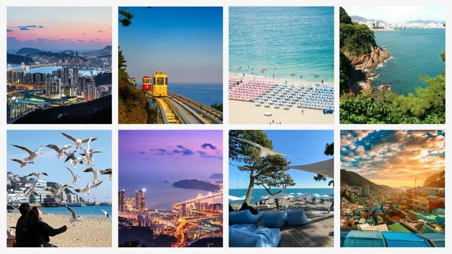 Busan chính là điểm đến không thể bỏ qua cho mùa hè năm nay