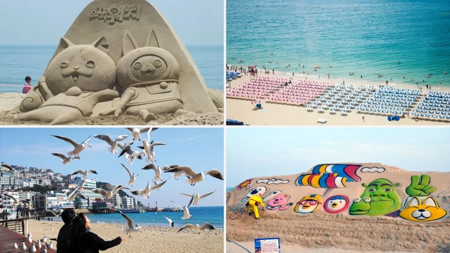 Chuyến du lịch Busan hứa hẹn mang đến cho bạn nhiều trải nghiệm thú vị