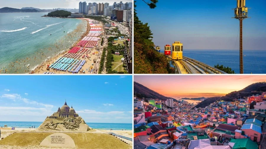 Du lịch Busan vào mùa hè là một trải nghiệm tuyệt vời mà bạn nên cân nhắc