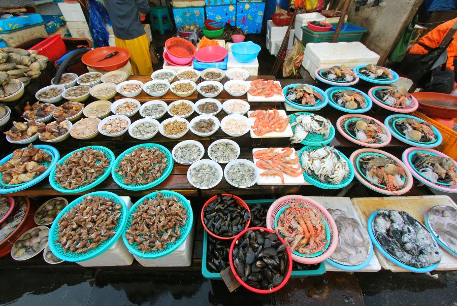 Các khu chợ hải sản Hàn Quốc cung cấp rất nhiều các món ẩm thực hấp dẫn khác nhau