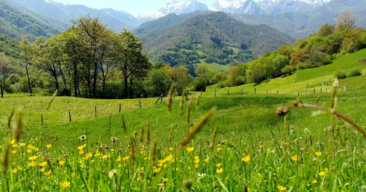 Picos de Europa, Tây Ban Nha - thiên đường hoa giữa núi non