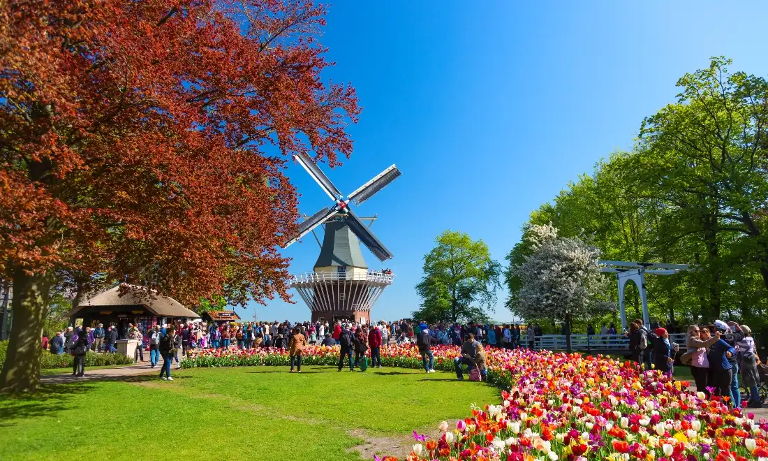 Vườn hoa Keukenhof là địa điểm được nhiều du khách quan tâm