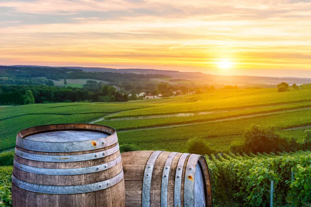 Champagne và Reims - vùng vang sủi nổi tiếng