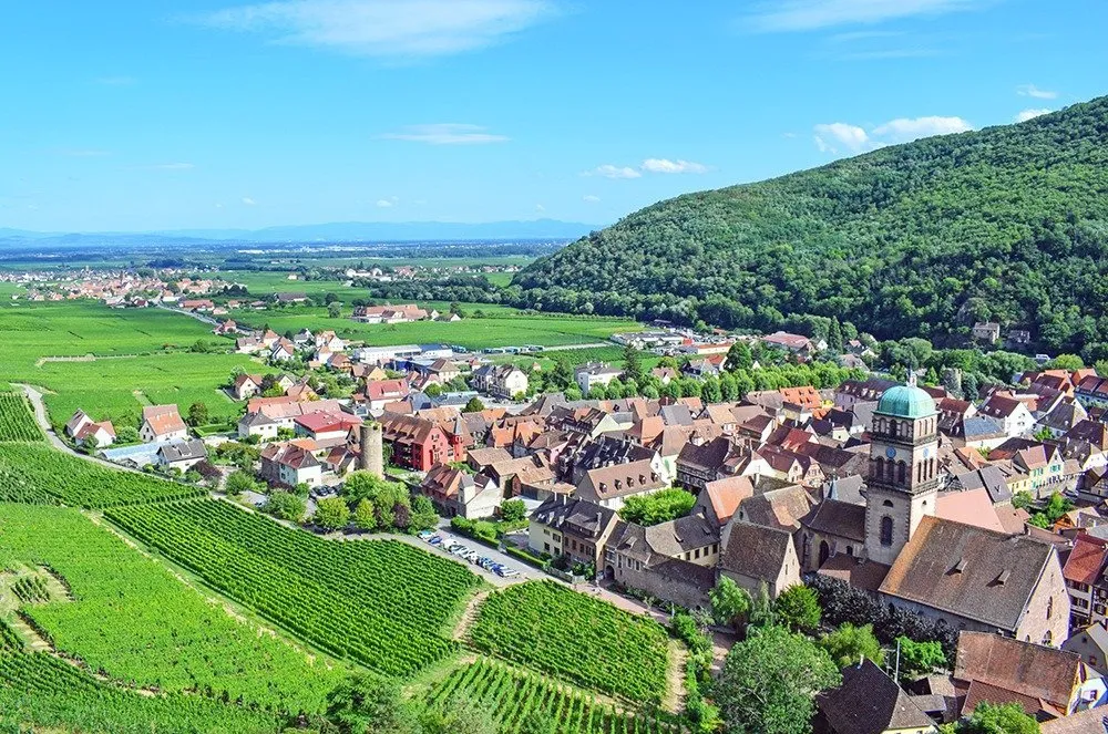 Alsace - vùng vang trắng giữa những ngôi làng cổ