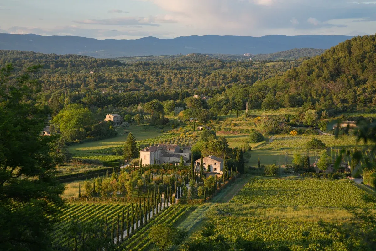 Provence - vùng vang gắn với cảnh quan miền Nam nước Pháp
