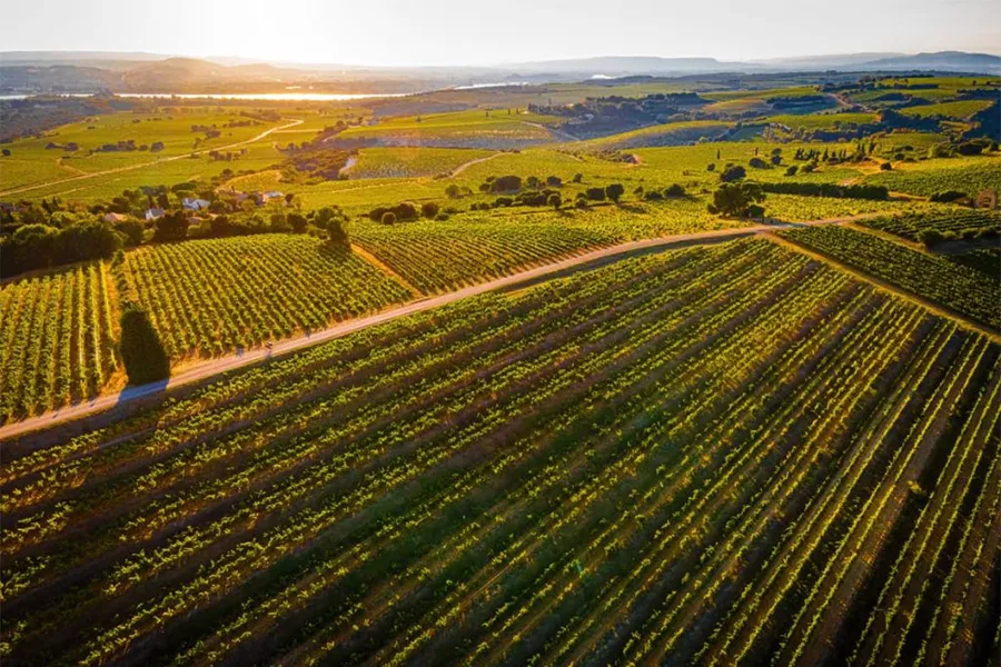Thung lũng sông Rhône - điểm đến dành cho người yêu vang