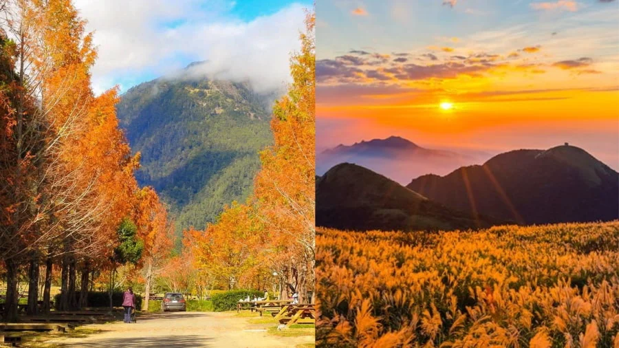 Vườn Quốc gia Yangmingshan là điểm đến lý tưởng cho những ai muốn ngắm cảnh mùa thu mà không phải di chuyển quá xa