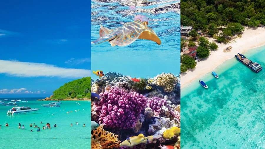 Đảo Coral sở hữu nhiều bãi biển với những nét đặc trưng riêng, đáp ứng mọi sở thích của du khách