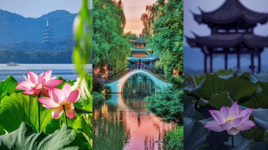 Du lịch Hàng Châu mùa hè mang một vẻ đẹp năng động và rực rỡ, đặc biệt là sắc sen khoe sắc