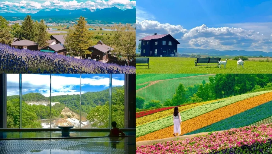 Du lịch Hokkaido mùa hè là khoảng thời gian lý tưởng để bạn khám phá thiên nhiên hoang sơ, hùng vĩ và trải nghiệm những hoạt động độc đáo