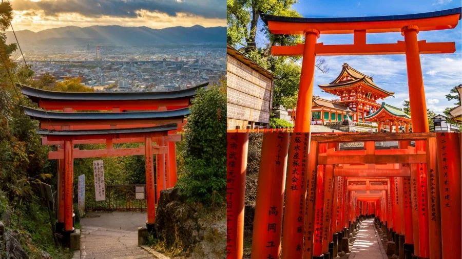 Đền Fushimi Inari-taisha nổi tiếng với hàng ngàn cổng torii màu đỏ son rực rỡ