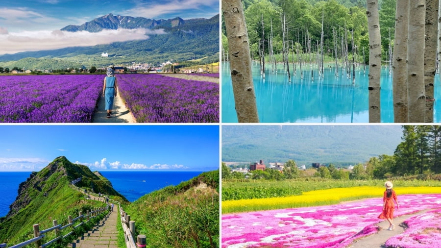 Hokkaido tháng 7 là điểm đến lý tưởng cho những ai muốn tận hưởng không khí mát mẻ và chiêm ngưỡng cảnh sắc thiên nhiên tuyệt đẹp