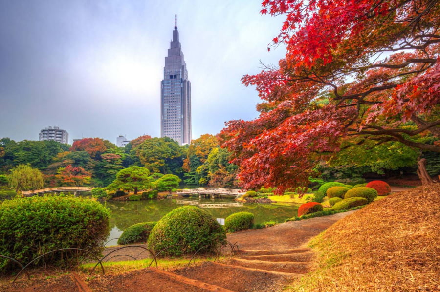 Mùa thu cũng là một lựa chọn tuyệt vời để du lịch Tokyo