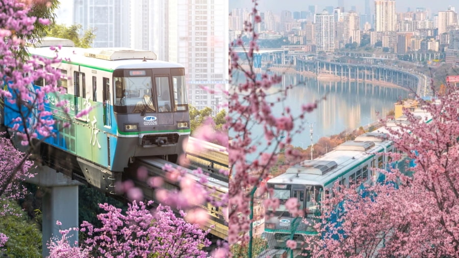 Mùa xuân là một trong những thời điểm lý tưởng để du lịch Trùng Khánh