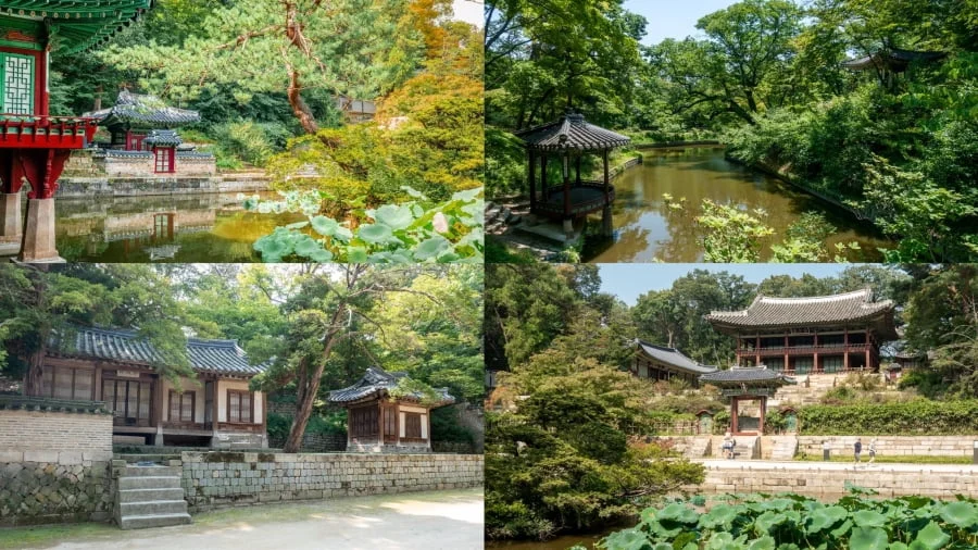 Vườn Thượng Uyển Huwon được biết đến là một trong những khu vườn hoàng gia đẹp nhất Hàn Quốc