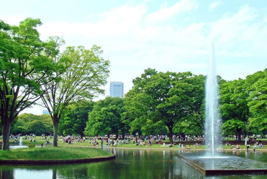 Công viên Yoyogi là một trong những công viên đô thị có quy mô lớn tại Tokyo