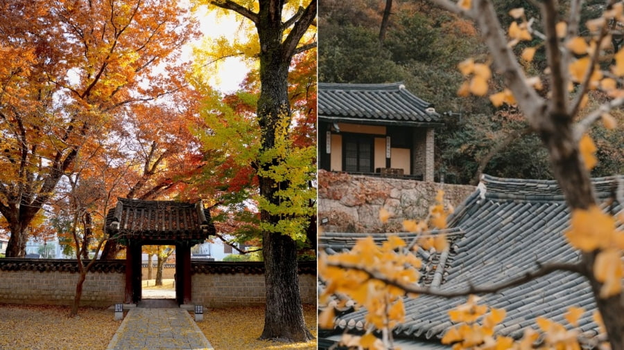 Làng Hanok Bukchon ở Seoul là một khu phố cổ kính, nơi bạn có thể tản bộ qua những con hẻm nhỏ giữa sắc lá vàng, đỏ