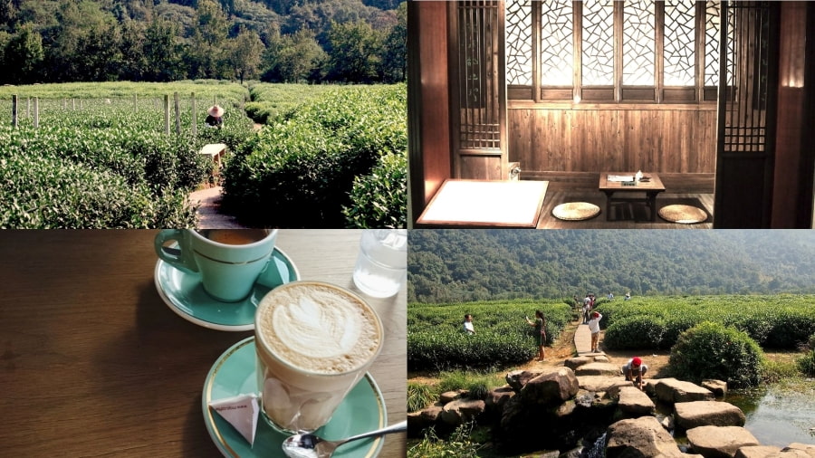 Bảo tàng Trà Quốc gia Trung Quốc mang đến một không gian yên bình và gần gũi với thiên nhiên
