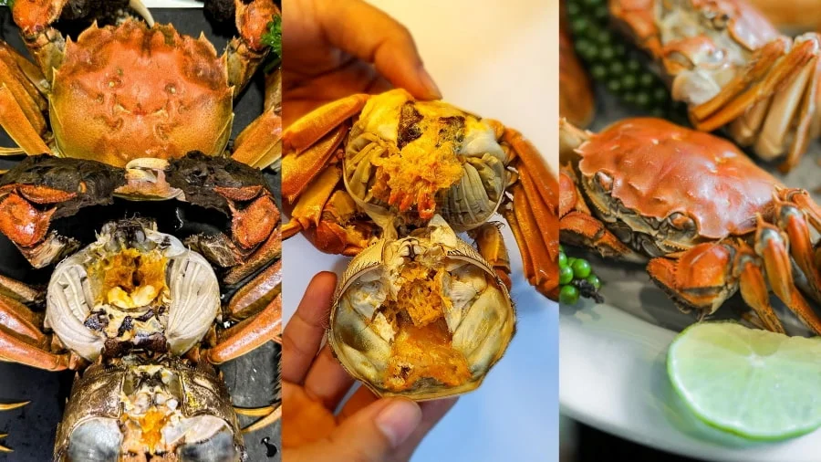 Nếu bạn lên kế hoạch du lịch Hàng Châu vào mùa thu, bạn sẽ có cơ hội thưởng thức Cua lông Tây Hồ