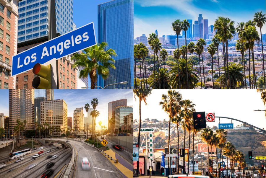 Los Angeles mùa đông tuy lạnh và có tuyết rơi nhưng không quá khắc nghiệt như các thành phố khác tại nước Mỹ