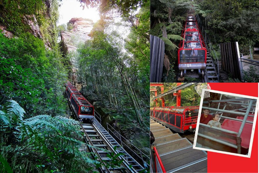 Cận cảnh về chuyến tàu dốc nhất thế giới Scenic Railway