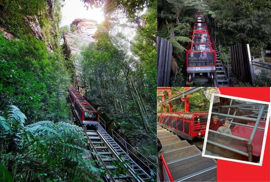 Cận cảnh về chuyến tàu dốc nhất thế giới Scenic Railway